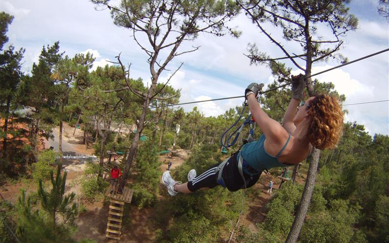 Tree climbing in Saint Jean de Monts Explore the forest from the treetops