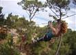 Tree climbing in Saint Jean de Monts Explore the forest from the treetops