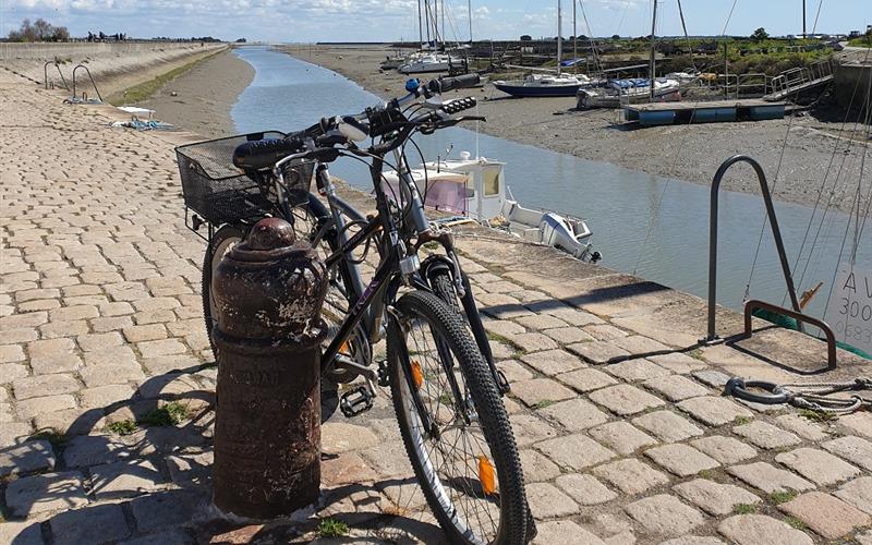 Noirmoutier by bicycle